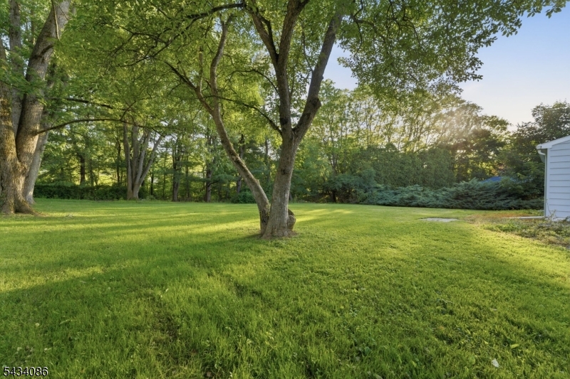 Brakeley Park - Residential
