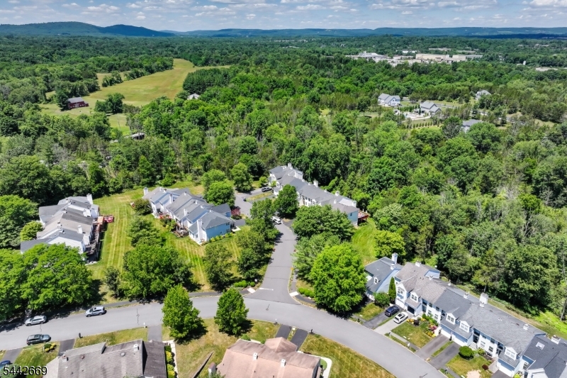 Old Towne - Residential