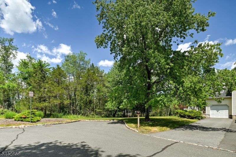 Old Towne - Residential