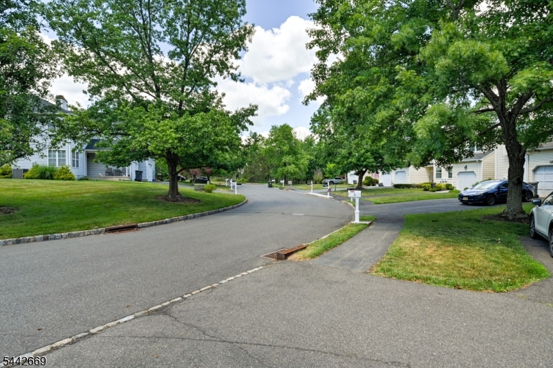 Old Towne - Residential