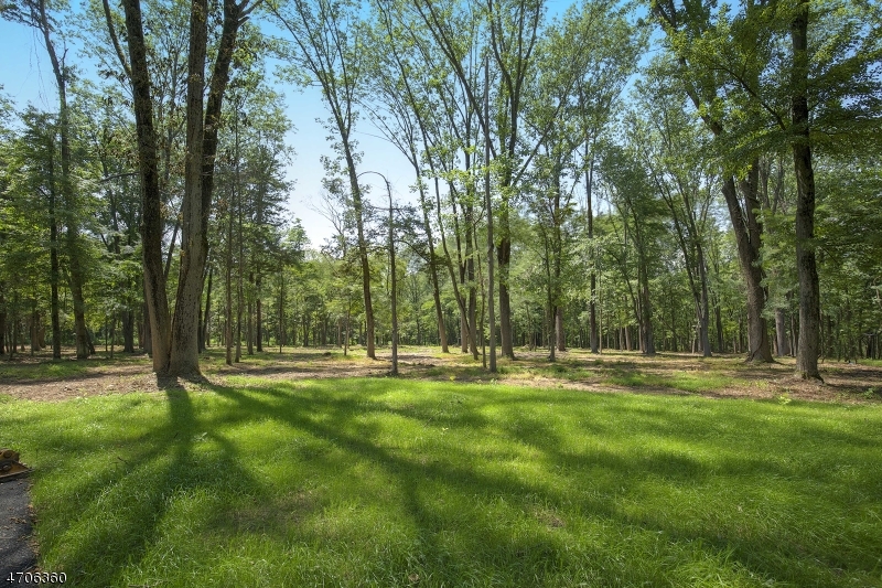 Singing Wood Farm - Land