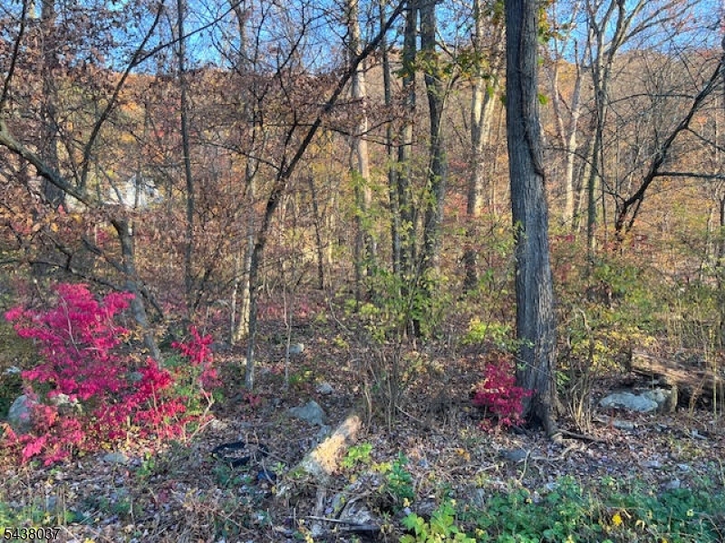 2 Lots Are Included With The Sale Old Woodland Trail & 9 Old Woodland Trail, Buyer Responsible for any tests or variances that are needed to build, total square footage of both lots combined are 200 Wide & 100 Deep, Located in the Cozy Lake Community, Owner has active real estate license