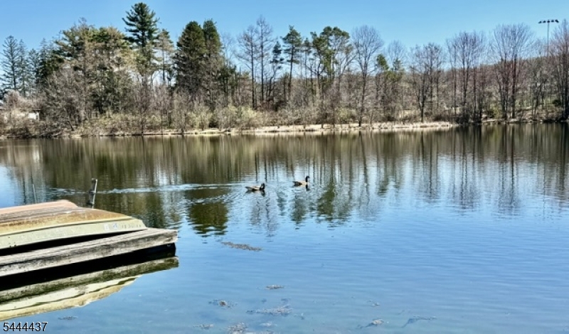 Nosenso Pond - Residential