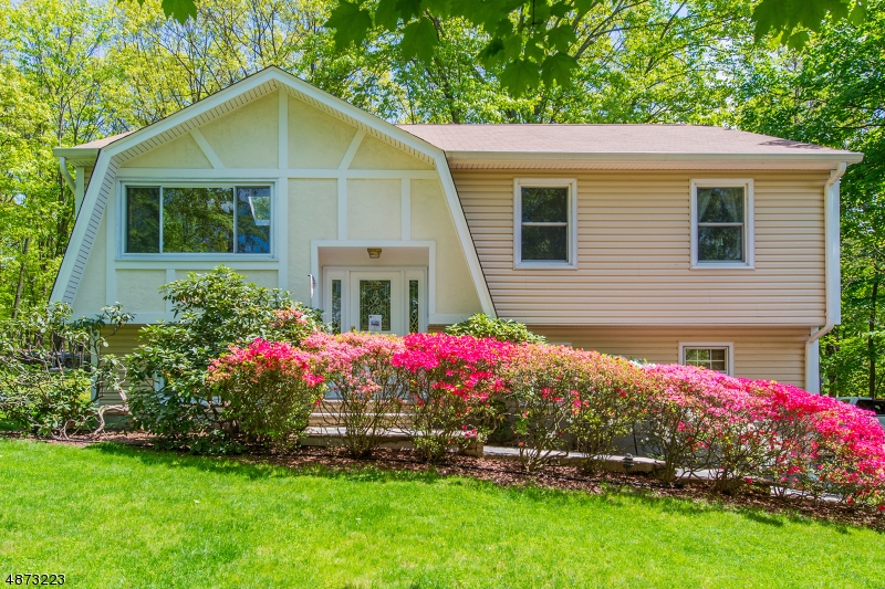Immaculate Bi-Level! Located on Cul-De-Sac in Great Neighborhood. Shows pride of ownership. Lovingly cared for 38 years. ORIGINAL OWNERS! Lots of Generous Room Sizes to Spread Out & Make Your Own! Beautiful HW Floors. BRIGHT living space; HUGE LR/DR Combo. Cathedral ceilings w/Skylights & Cedar shiplap. Country Kitchen offers ton of Counter Space & pull out Cabinet drawers. Walkout to back deck. 3 BDRM & full bath upstairs. FR & 4th BDRM/office on lower level. Half Bath. Brick fireplace w/insert & sliders to patio. Plenty of storage space in attic & 2 Car garage. Laundry w/Slop Sink. Backyard is large, wooded and private. Perfect spot to enjoy nature, mature trees/perennials, lawn, landscape & garden- relaxing! Close prox to Hedden Park & Jackson Brook. Mins to NYC Direct train/bus & EZ access to Hwys.