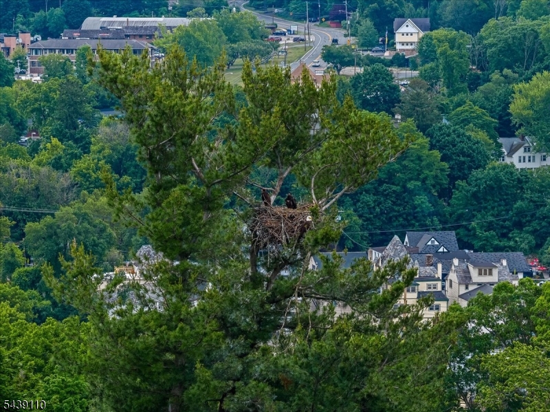 Lake Mohawk - Residential
