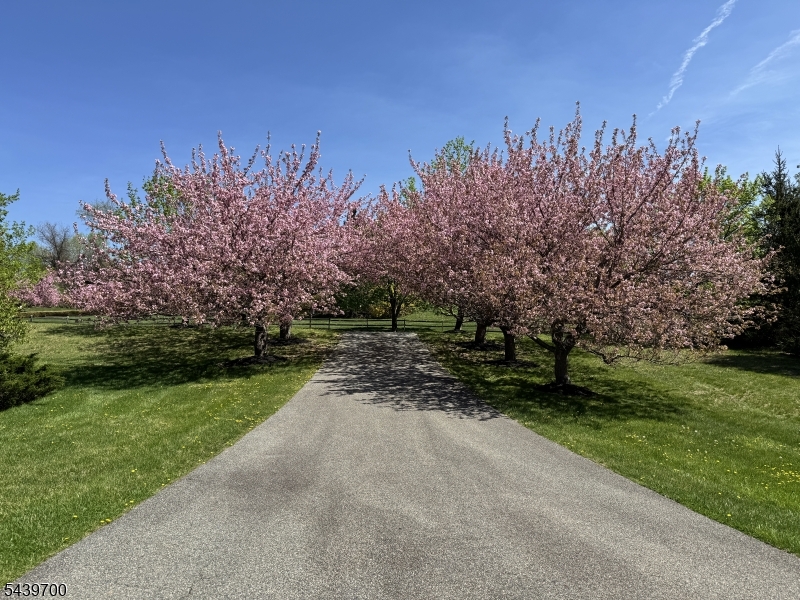 Beacon Hill - Residential