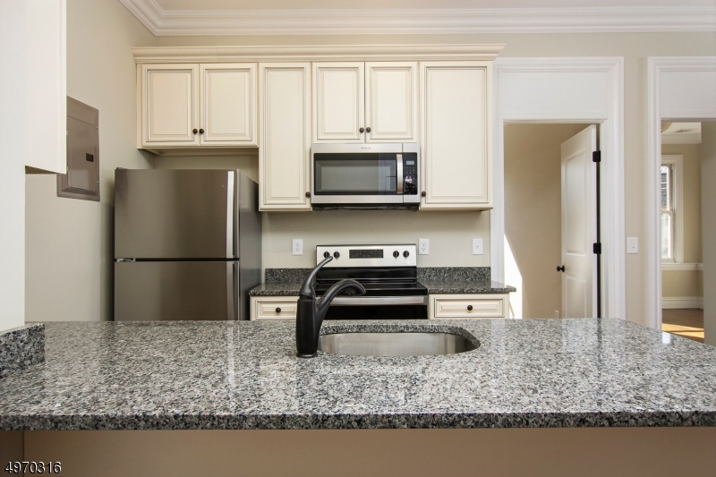 Brand New 2 bedroom apartment with large gourmet kitchen and light and bright living room.2 bedrooms with large closets and custom molding throughout! . Heat and hot water included in rent and laundry is located in building.This completely new construction model in the up and coming downtown district  is truly move in ready! Conveniently located in town where shopping, restaurants and mass transit surround you