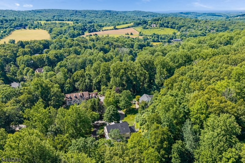 BROOKRACE - Residential