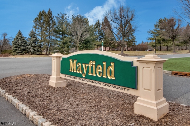 Mayfield - The Hills - Residential