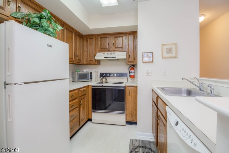 Mayfield - The Hills - Residential
