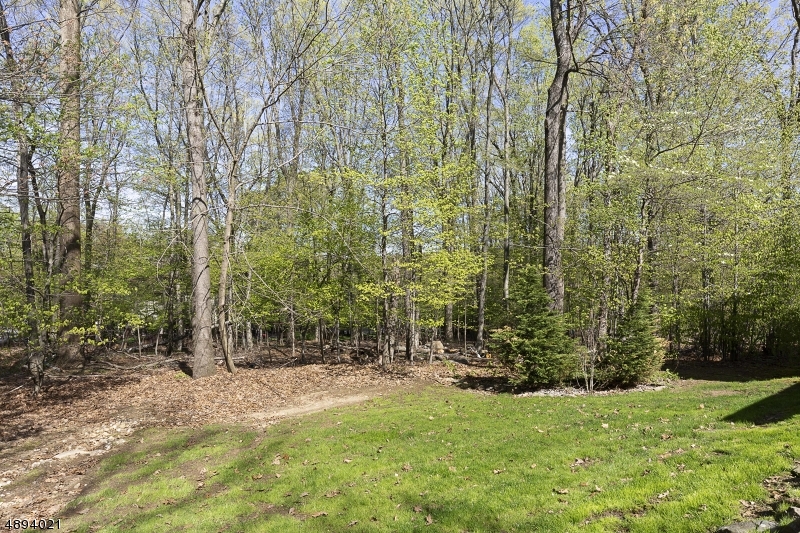 Birch Run - Residential