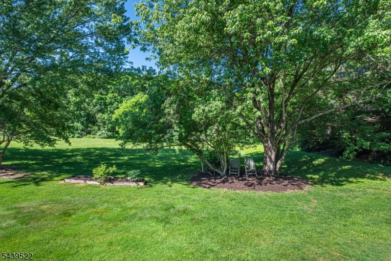 Bald Eagle Village - Residential