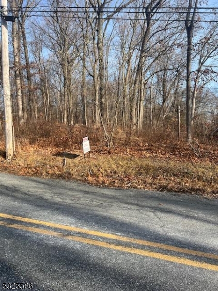 Heavily wooded quiet street, Property in Highlands Preservation District. Approval from State of NJ DEP to build a single-family home, Survey and Site plan available.