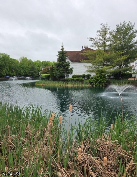 Willow Walk - Residential