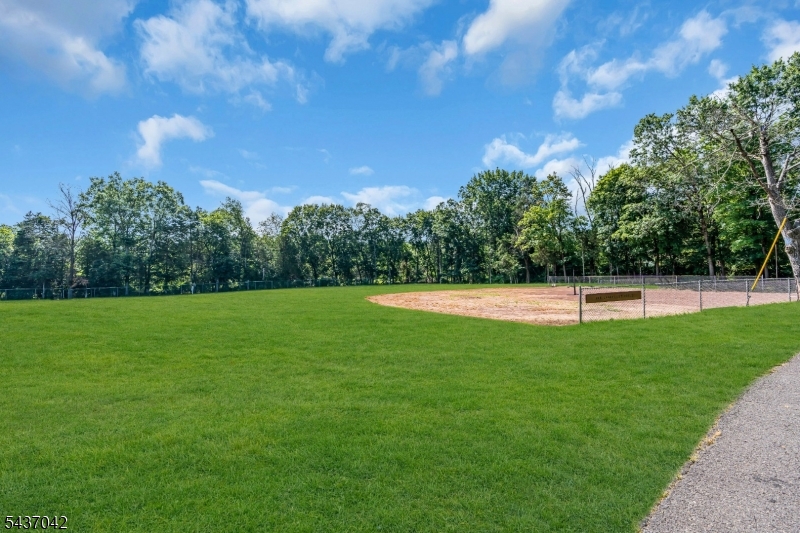 Griggstown - Residential