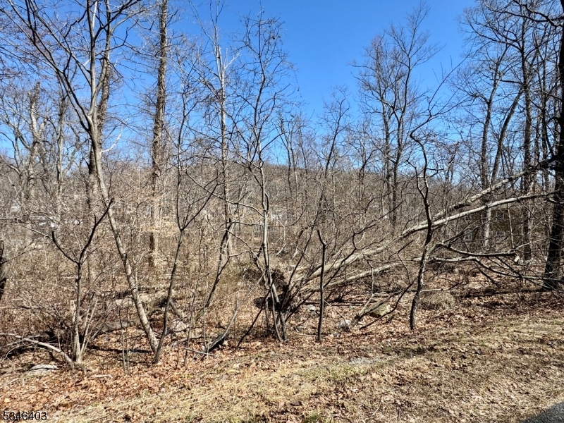 Vacant Land located in Hopatcong very close to lake hopatcong. Lot may be suitable for storage, camping, boat storage, etc. Owner Financing is available.