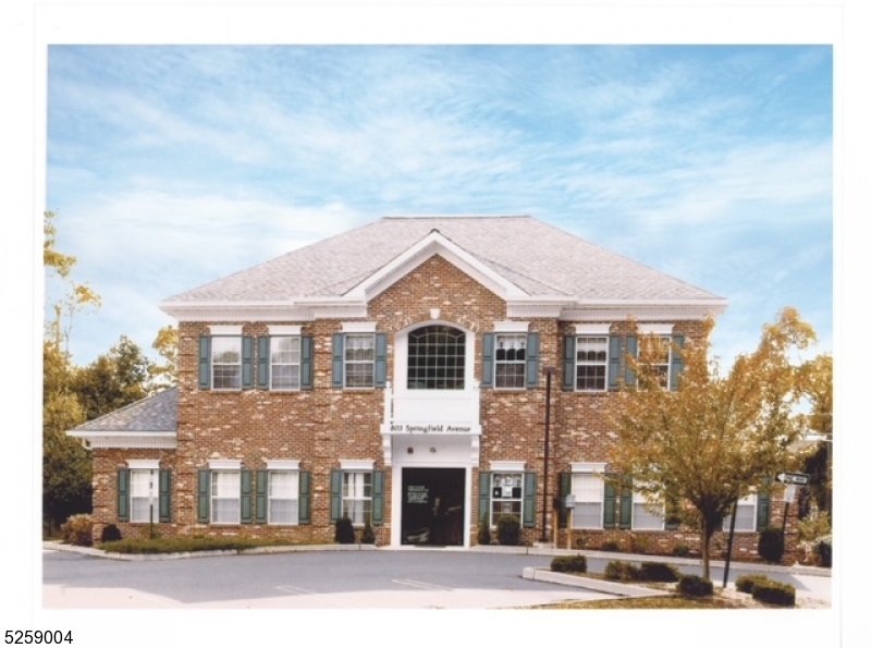 Prime commercial building on a highly visible corner location. Constructed in 1998 and consisting of  4,400 SF of finished floor area plus 2,200 SF sprinklered basement. On-site parking for 24 vehicles plus non-metered street parking. Only 500 feet to NJ Transit Train Station.  Prominent building sign on Springfield Avenue. The Neighborhood Business zone permits retail sales & services, personal services, restaurants, professional office, medical and mixed-use with residential above the first floor. Expansion of the building is possible in terms of floor area and height (3 stories).