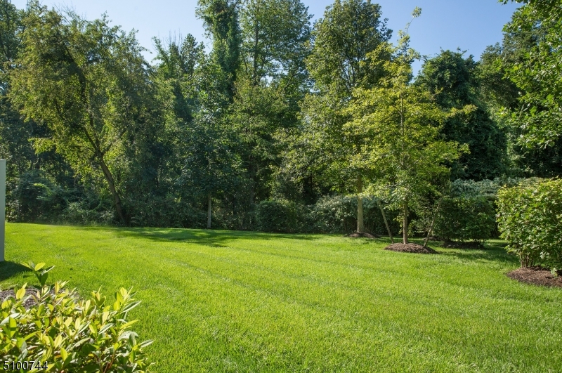 Coventry Park - Residential