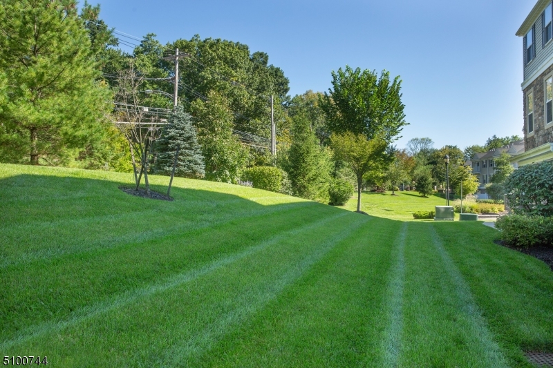 Coventry Park - Residential