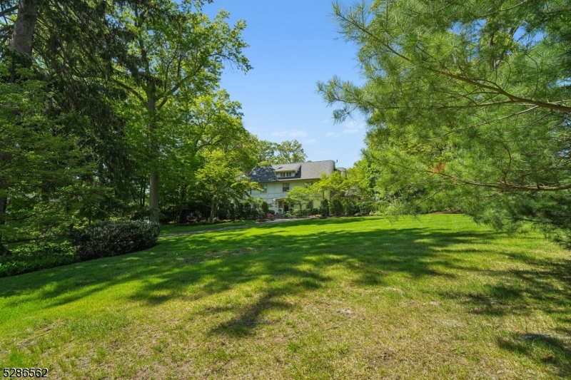 The Hill - Residential