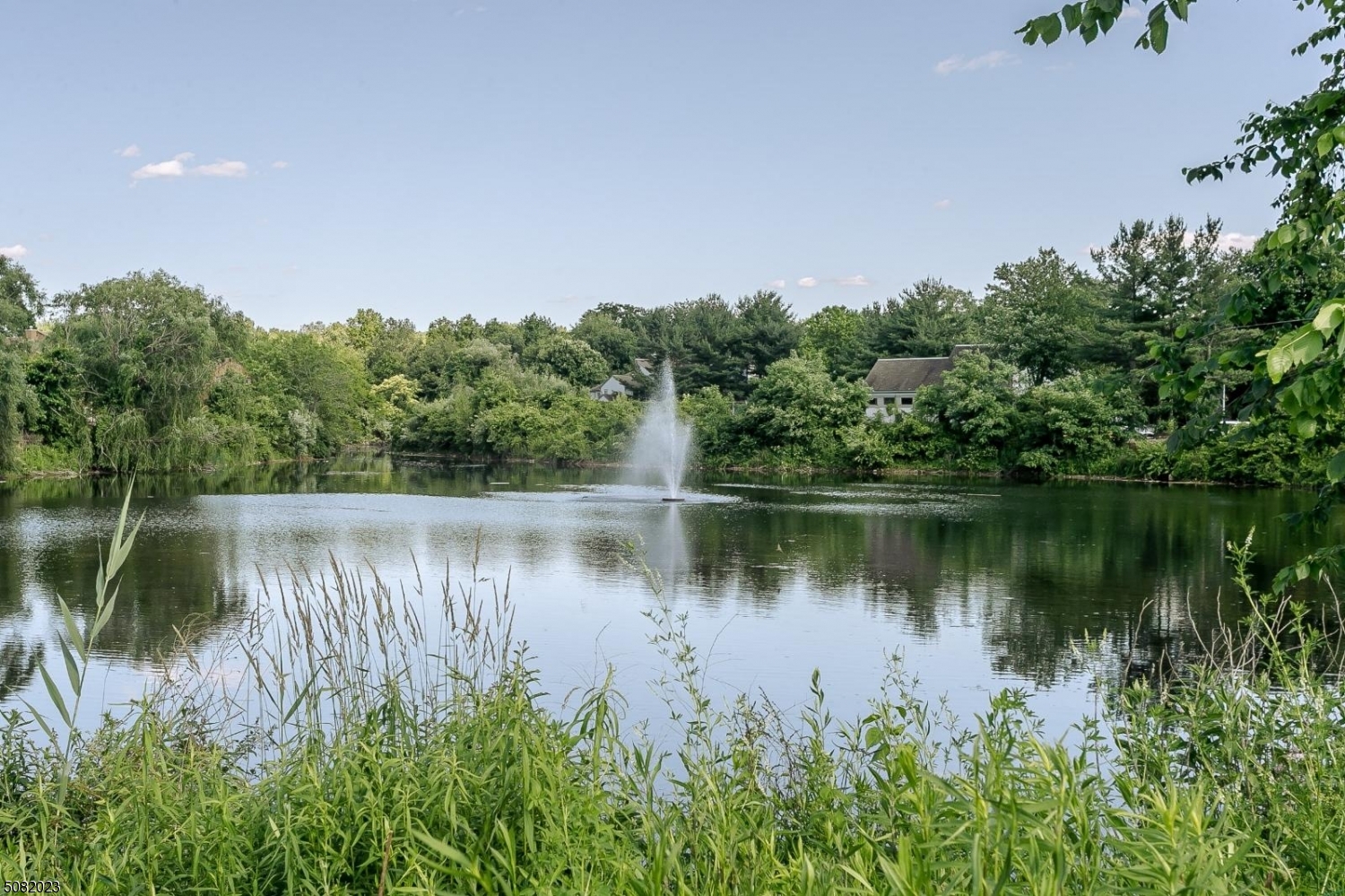 DRAKESVILLE   LEDGEWOOD - Residential