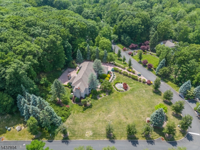 Raine Tree - Residential