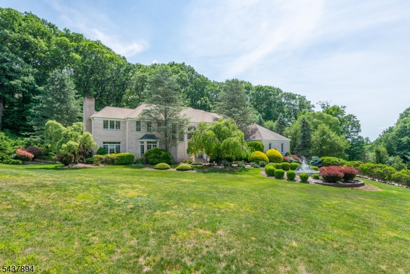 Raine Tree - Residential