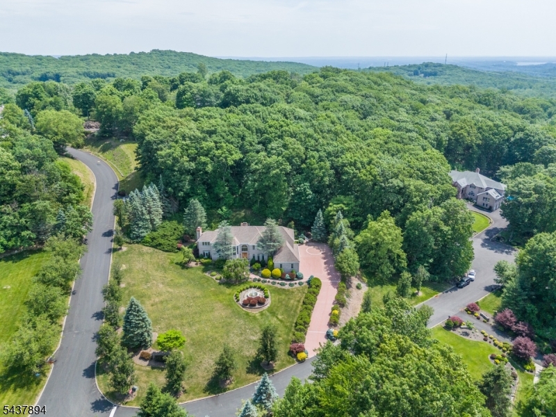Raine Tree - Residential