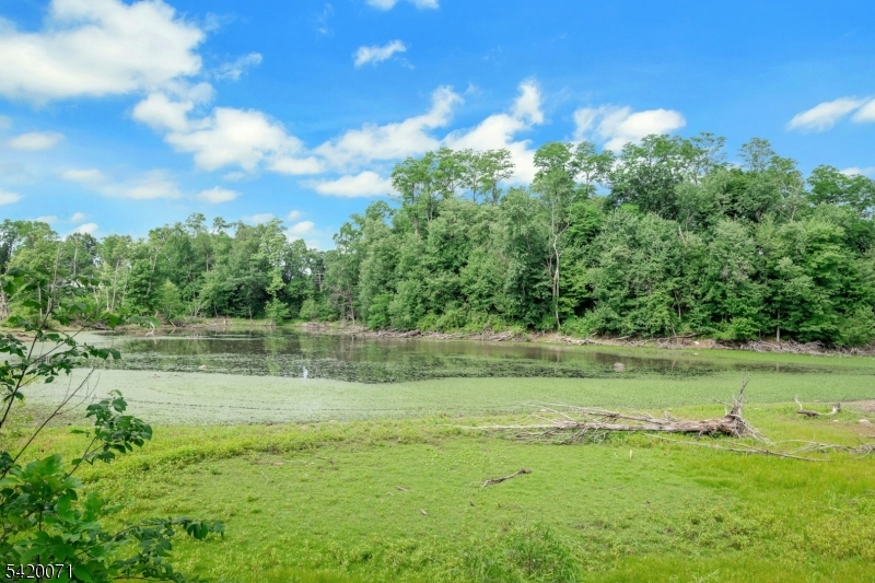 Water View - Residential