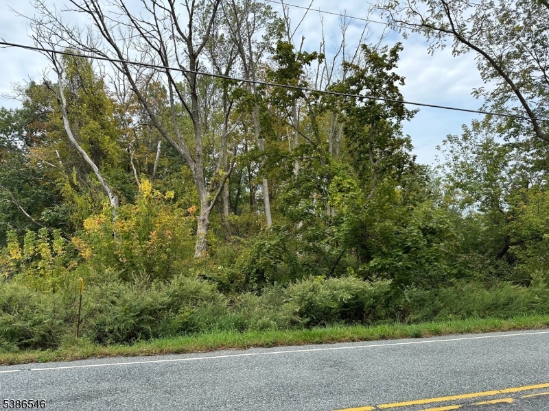 An exceptional opportunity to build your custom dream home in this location. This one-acre lot is situated next to a sprawling working farm providing a peaceful and serene atmosphere.  You're just moments from the pristine waters of Mountain Lake, a natural glacial lake perfect within the community of Mountain Lake. The property is ideally positioned with easy access to Route 46, connecting you to a wide array of shopping, dining, and recreational amenities. For commuters, the short drive to the town of Hackettstown provides direct rail and bus access to New York City, making this the perfect retreat for urban professionals seeking a country escape.