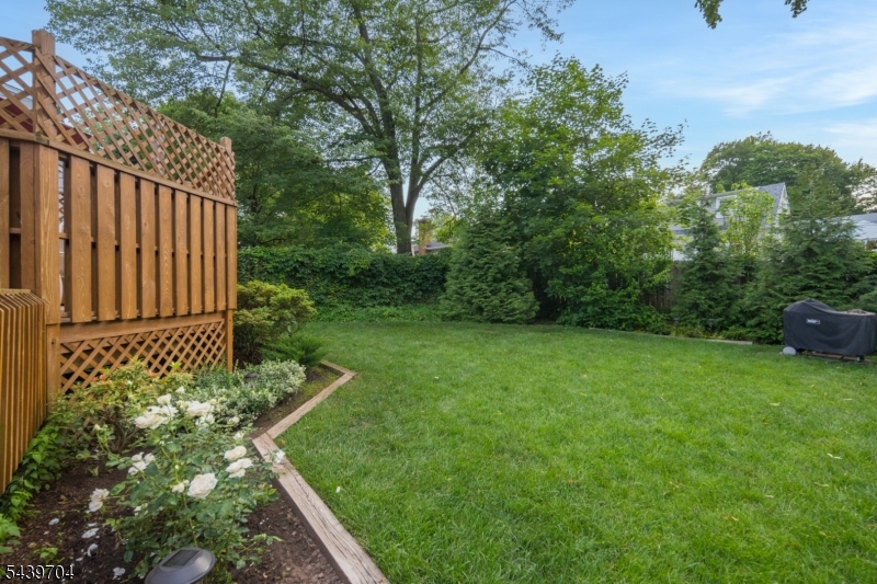 Briant Park - Residential