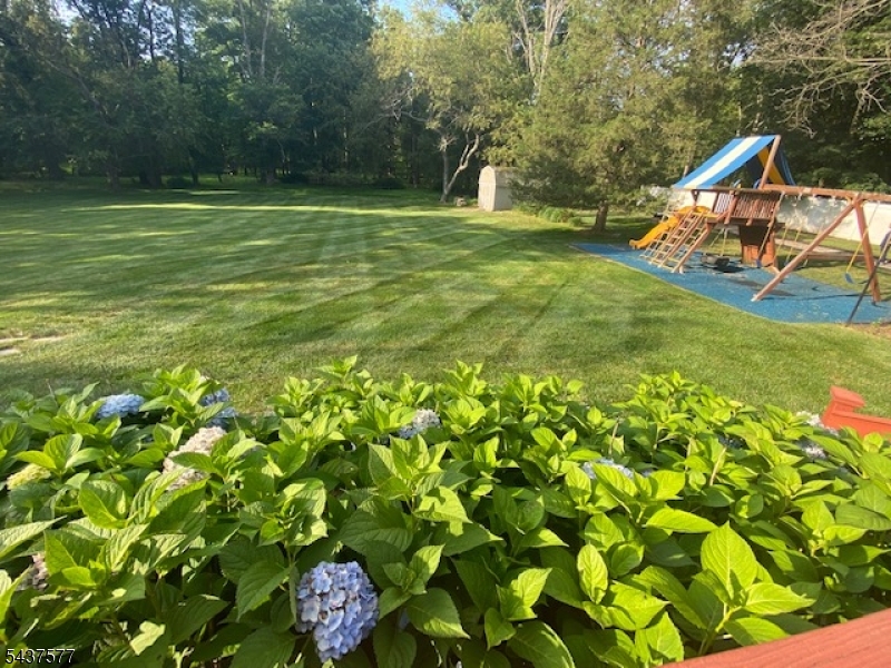 Belle Mead - Residential