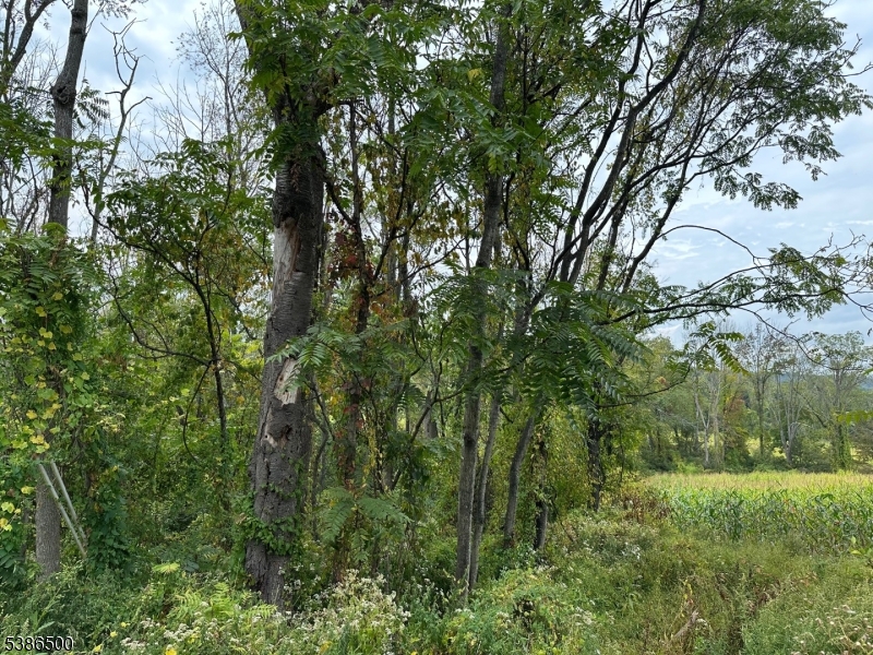 A truly exceptional opportunity awaits you to build your custom dream home in this location. This one-acre lot is a blank canvas, framed by the serene beauty of a working farm that borders the property, providing a peaceful and private backdrop.  You're just moments from the pristine waters of Mountain Lake, a natural glacial lake perfect within the community of Mountain Lake.  The property is ideally positioned with easy access to Route 46, connecting you to a wide array of shopping, dining, and recreational amenities. For commuters, the short drive to the town of Hackettstown provides direct rail and bus access to New York City, making this the perfect retreat for urban professionals seeking a country escape.