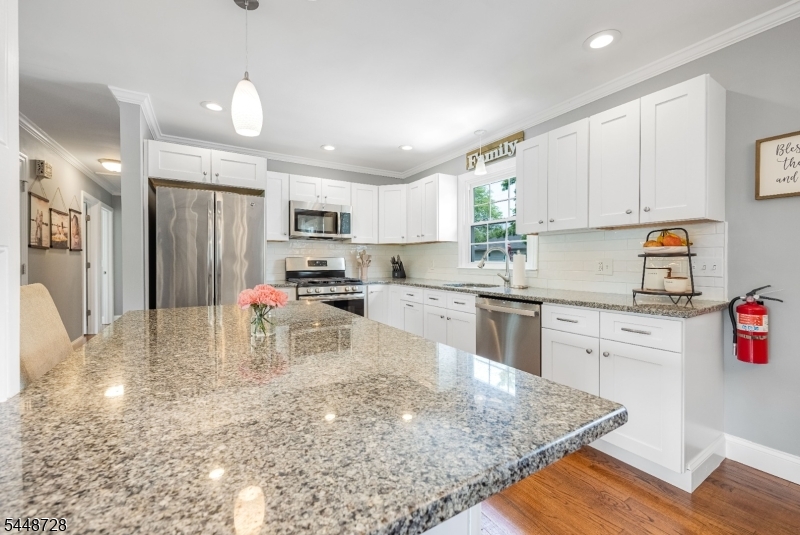 Lake Hiawatha - Residential