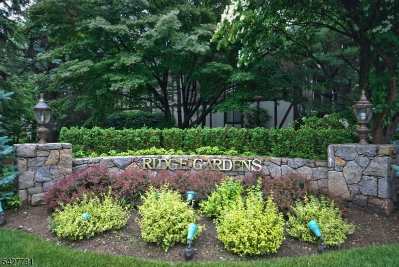 Ridge Gardens - Residential