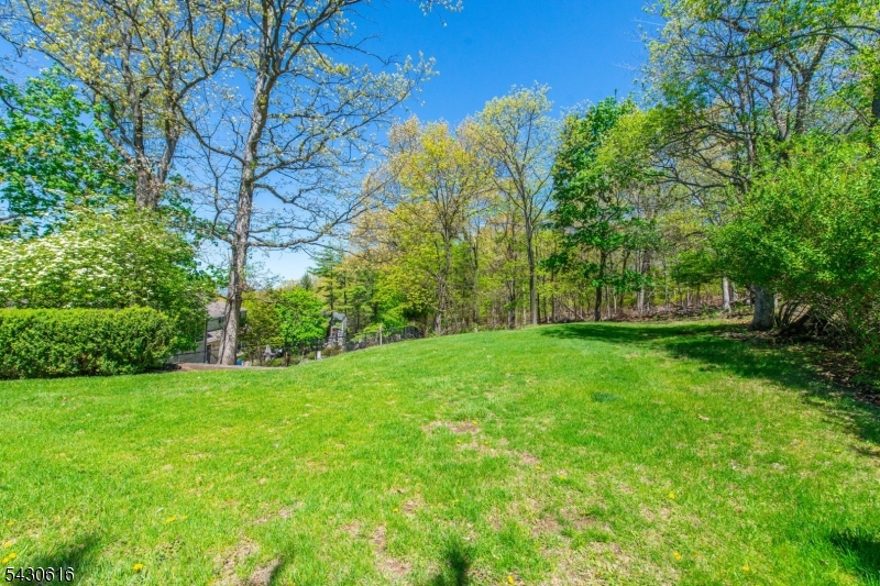 RIKER HILL - Residential