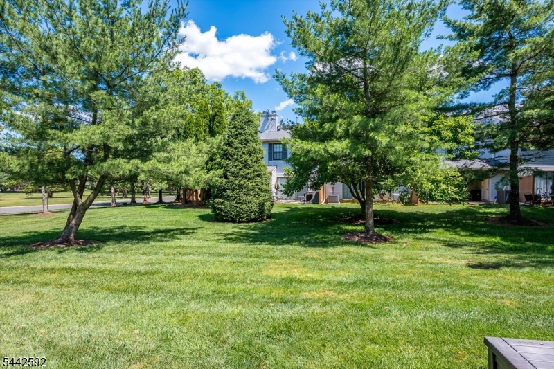 Society Hill II - Residential
