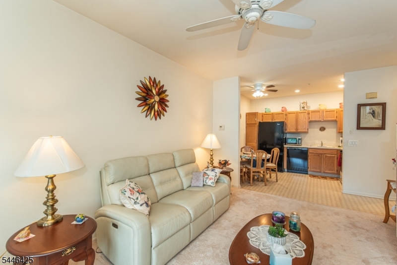 BALD EAGLE COMMONS - Residential
