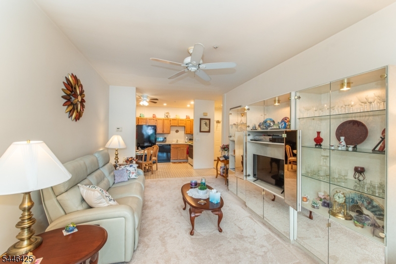 BALD EAGLE COMMONS - Residential
