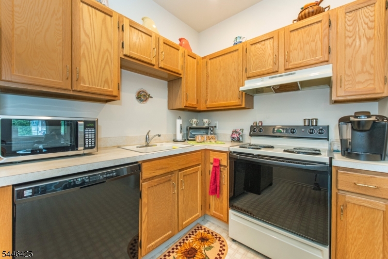BALD EAGLE COMMONS - Residential