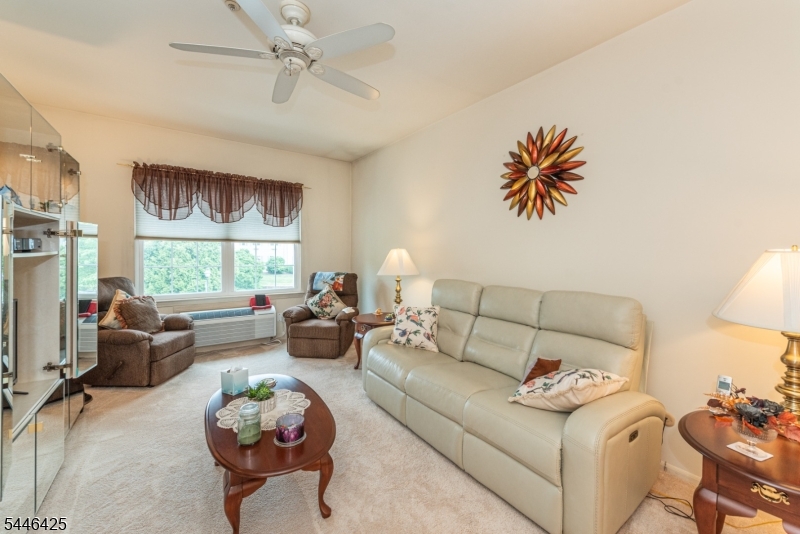 BALD EAGLE COMMONS - Residential