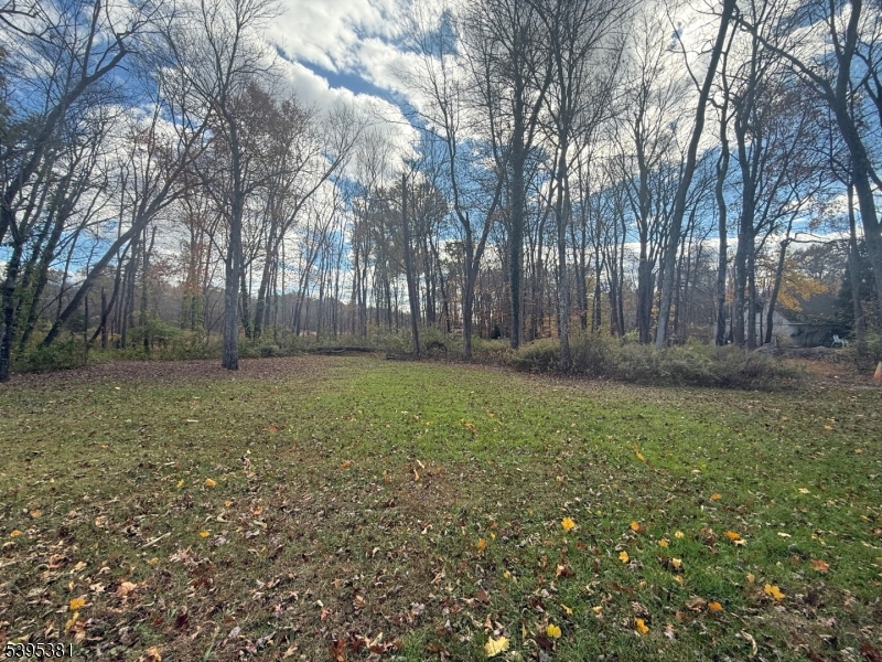 Undeveloped 1.14 acre lot in Montville.  Buyer to perform due diligence.