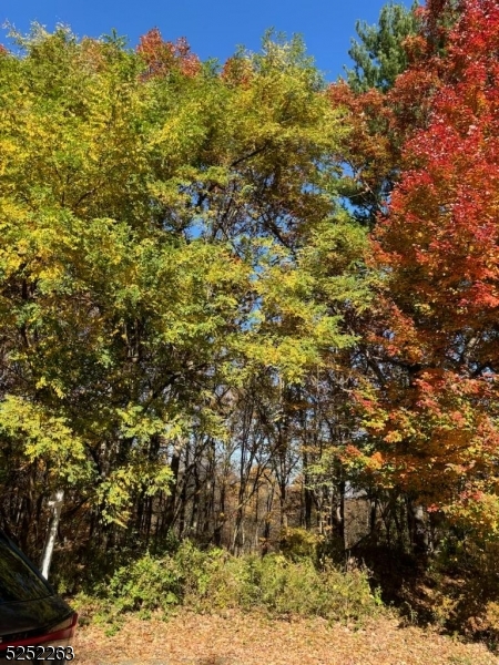 Picture living on a beautiful 3 acre wooded lot at the end of a cul de sac in an established neighborhood of high end homes. In the country yet convenient to highways and shopping. Build your dream home here. Boonton township boasts excellent school 1-8th grade and Mt. Lakes HIgh School.