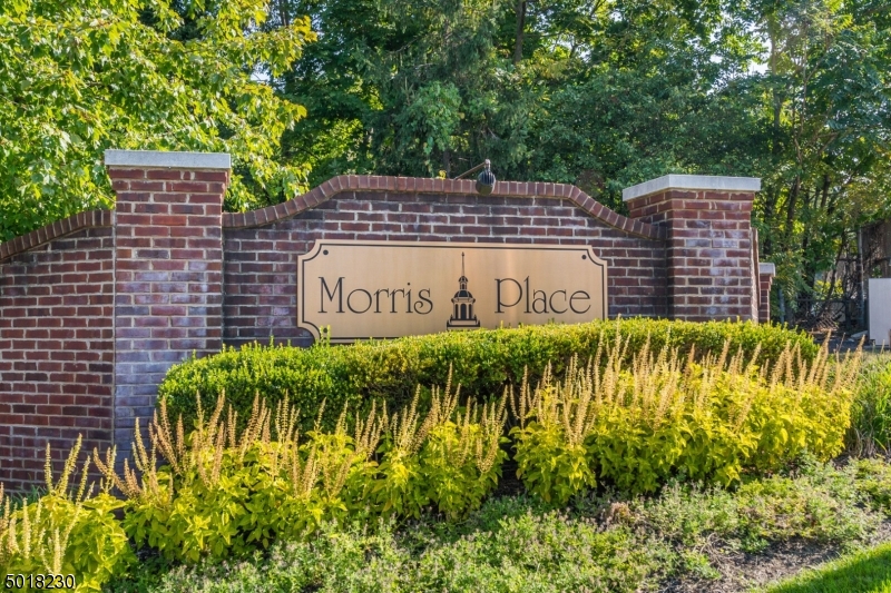 Morris Place - Residential