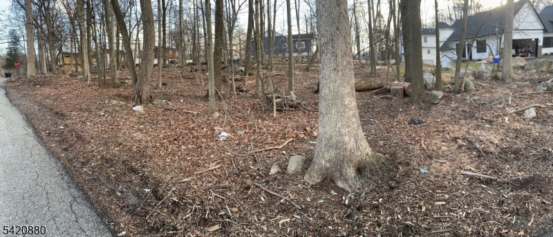 Exceptional opportunity to build a single family 4-bedroom 2400SF colonial style home on a 1/3ac, 15,000 sq ft, 100'x150' level parcel in sought-after Hopatcong, offering seasonal views of Lake Hopatcong and near Crescent Cove Beach. This premium homesite is the last of 4 building lots and is approved for development. The property features access to public water and sewer, providing a seamless path to construction. Ideally located near upscale dining, shopping, and major commuting routes, the property offers a rare blend of privacy and convenience. An outstanding offering for those seeking to create a refined primary residence or weekend retreat.