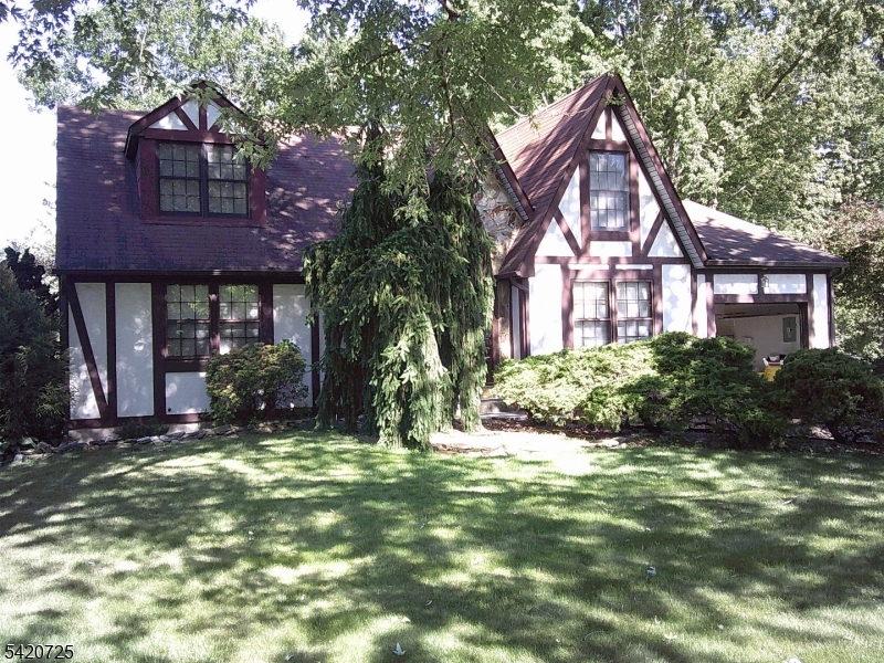 Large well maintained Tudor with in-ground pool