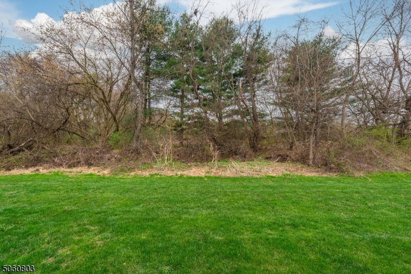 Spruce Hills - Residential