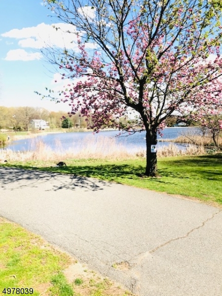 Legion hill - Residential Lease