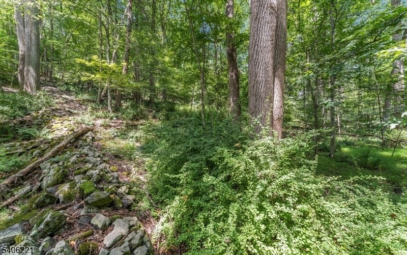 This 3.86-acre parcel in scenic Holland Township offers privacy, natural beauty, and the potential for custom development.  buyers conduct their own due diligence. Highland restrictions apply.