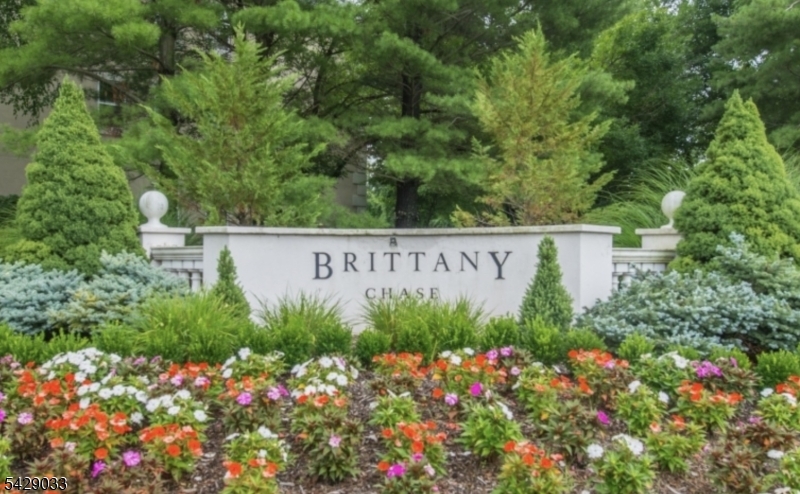 Brittany Chase - Residential